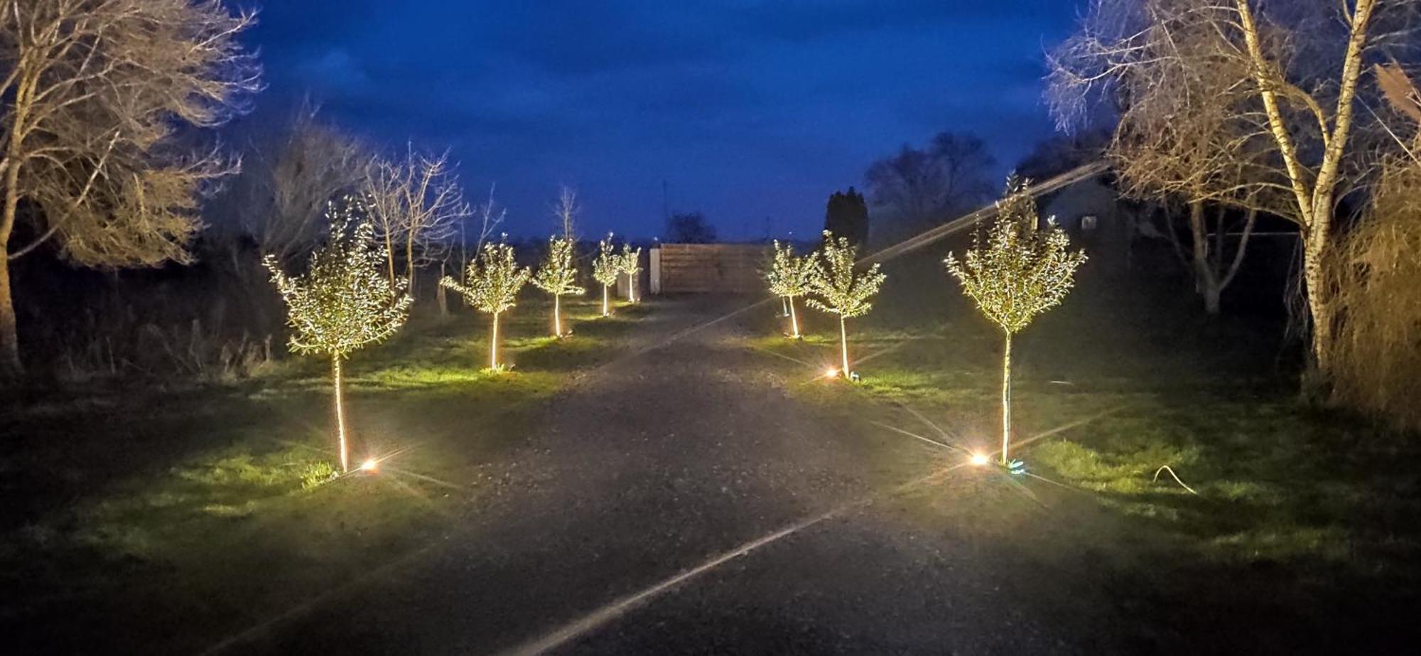 Gite Du Bois Richer 15 Personnes Fougere  ภายนอก รูปภาพ